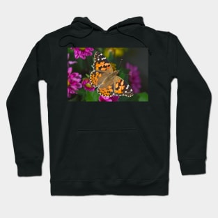 Painted Lady Butterfly (Vanessa cardui) Hoodie